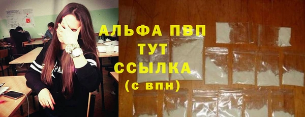 твердый Осинники