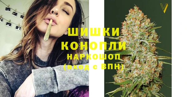 твердый Осинники