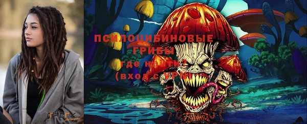 твердый Осинники