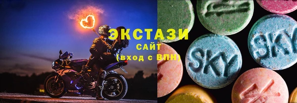 стаф Вяземский